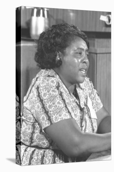 Fannie Lou Hamer, African-American Civil Rights Leader in 1964-null-Stretched Canvas