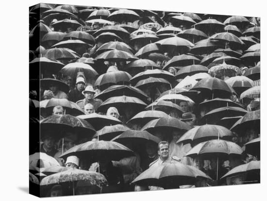 Fans, Sitting in Rain, at Purdue Homecoming Game-Francis Miller-Premier Image Canvas