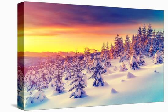 Fantastic Evening Landscape Glowing by Sunlight. Dramatic Wintry Scene. Natural Park. Carpathian, U-Creative Travel Projects-Premier Image Canvas