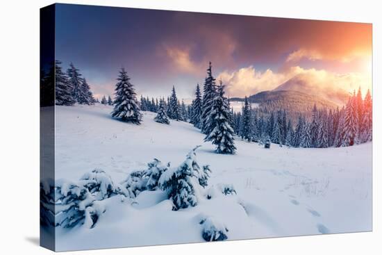 Fantastic Evening Landscape in a Colorful Sunlight. Dramatic Wintry Scene. National Park Carpathian-Leonid Tit-Premier Image Canvas