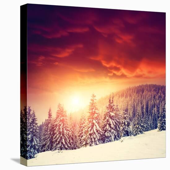 Fantastic Evening Landscape in a Colorful Sunlight. Dramatic Wintry Scene. National Park Carpathian-Leonid Tit-Premier Image Canvas