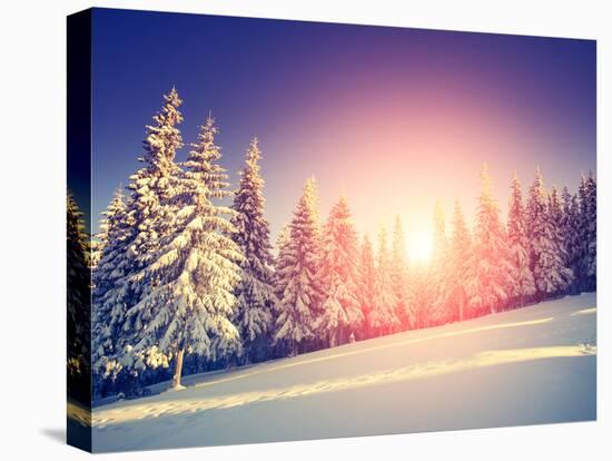 Fantastic Evening Landscape in a Colorful Sunlight. Dramatic Wintry Scene. National Park Carpathian-Leonid Tit-Premier Image Canvas