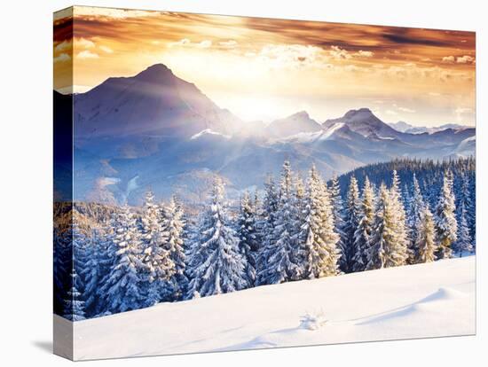 Fantastic Evening Winter Landscape-Leonid Tit-Premier Image Canvas