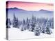 Fantastic Evening Winter Landscape-Leonid Tit-Premier Image Canvas