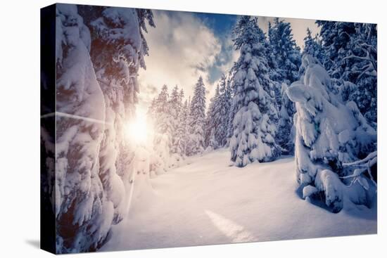 Fantastic Winter Landscape in the Sunny Beams. Dramatic Wintry Scene. Carpathian, Ukraine, Europe.-Leonid Tit-Premier Image Canvas