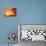 Fantasy Sunset And Maya Calendar-frenta-Stretched Canvas displayed on a wall