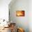 Fantasy Sunset And Maya Calendar-frenta-Stretched Canvas displayed on a wall