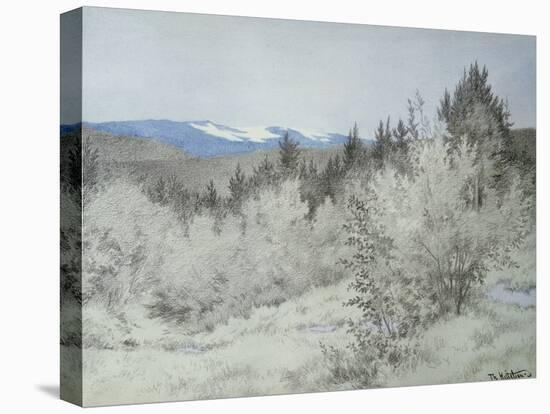 Far far Away in the Forest, 1902-Theodor Severin Kittelsen-Premier Image Canvas