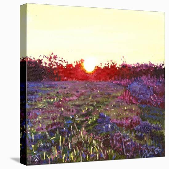 Farley sunset, 2012,-Helen White-Premier Image Canvas