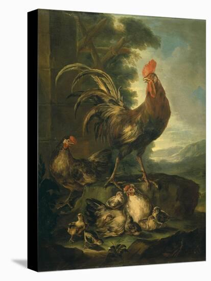 Farm Animals: a Cock, Two Chickens and Seven Chicks-Angiolo Maria Crivelli (Crivellone)-Stretched Canvas