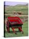 Farm Animals and Wheelbarrow, Kilmuir, Isle of Skye, Scotland-Gavriel Jecan-Premier Image Canvas
