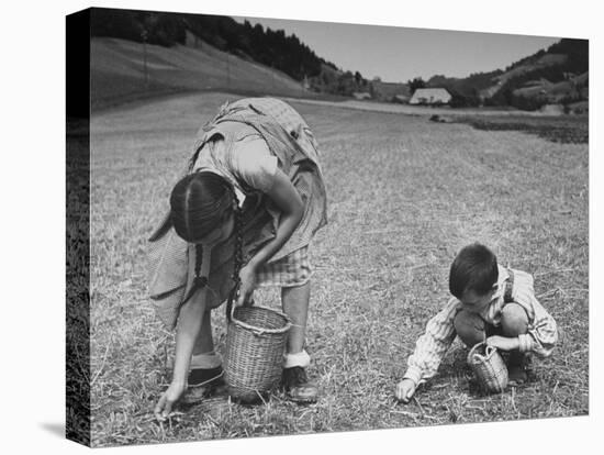 Farm Children Gleaning Field After Wheat Harvest-William Vandivert-Premier Image Canvas