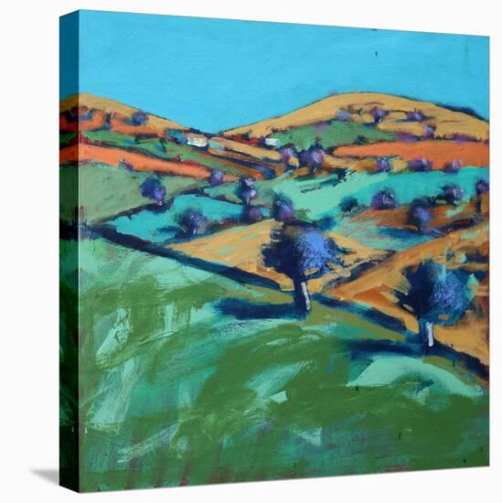 Farm Cornwall, 2021 (acrylic on board)-Paul Powis-Premier Image Canvas