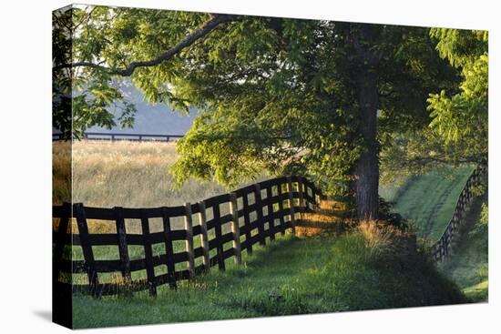 Farm Fence at Sunrise, Oldham County, Kentucky-Adam Jones-Premier Image Canvas