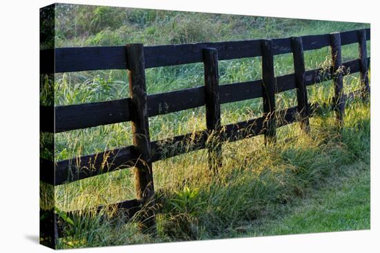 Farm fence at sunrise, Oldham County, Kentucky-Adam Jones-Premier Image Canvas