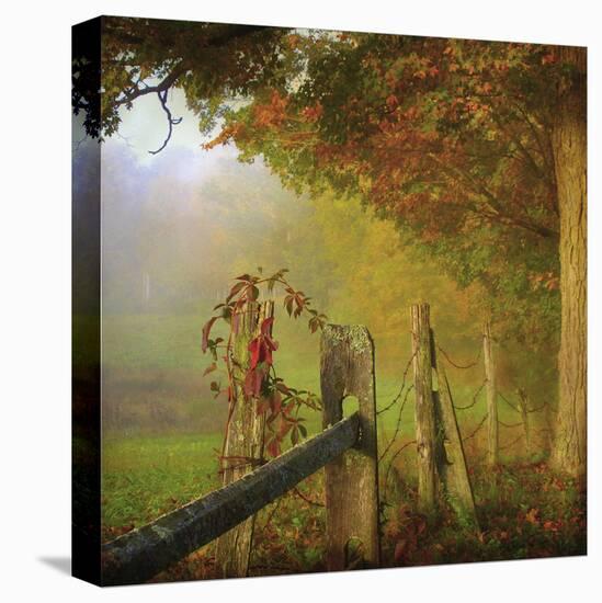 Farm Fence-Dawne Polis-Stretched Canvas