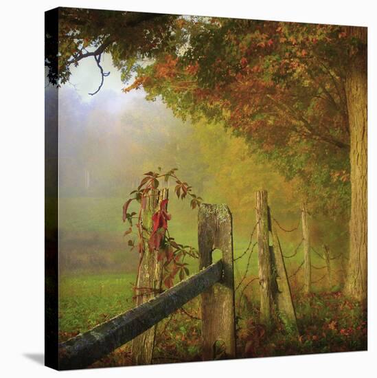 Farm Fence-Dawne Polis-Stretched Canvas