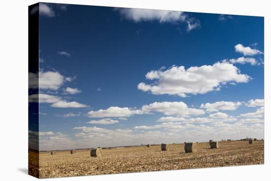 Farm Field, Sioux Falls, South Dakota, USA-Walter Bibikow-Premier Image Canvas