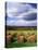 Farm Hay Bales in Field, Westmore, Vermont, USA-Adam Jones-Premier Image Canvas