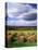 Farm Hay Bales in Field, Westmore, Vermont, USA-Adam Jones-Premier Image Canvas