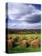 Farm Hay Bales in Field, Westmore, Vermont, USA-Adam Jones-Premier Image Canvas