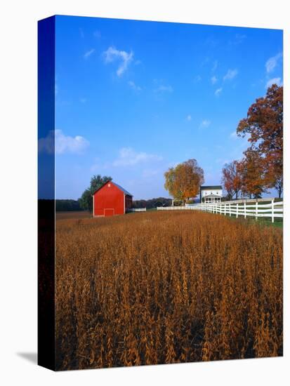 Farm in Autumn-Bruce Burkhardt-Premier Image Canvas