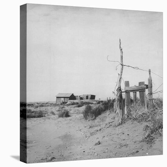 Farm Land in Drought-Stricken Area, Barren Land-null-Premier Image Canvas