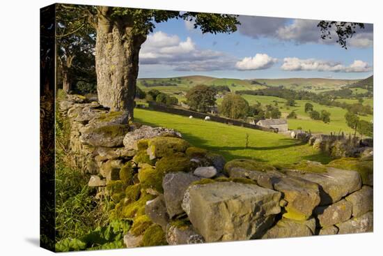 Farm Near Burnsall, Yorkshire Dales National Park, Yorkshire, England, United Kingdom, Europe-Miles Ertman-Premier Image Canvas