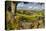Farm Near Burnsall, Yorkshire Dales National Park, Yorkshire, England, United Kingdom, Europe-Miles Ertman-Premier Image Canvas