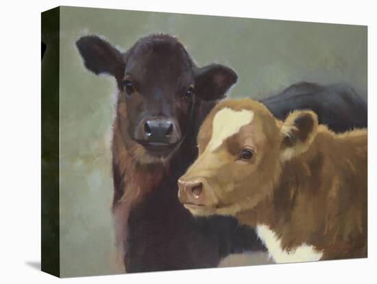 Farm Pals II-Carolyne Hawley-Stretched Canvas