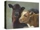 Farm Pals II-Carolyne Hawley-Stretched Canvas