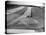 Farm Scene of Tractor in Ploughed Field-Alfred Eisenstaedt-Premier Image Canvas