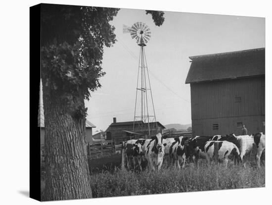 Farm Scenes of Farm Life in the Midwest-null-Premier Image Canvas