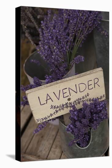 Farm Sign with Dried Lavender for Sale at Lavender Festival, Sequim, Washington, USA-Merrill Images-Premier Image Canvas