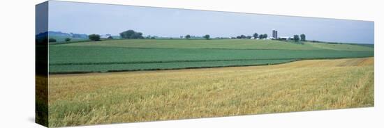 Farm Silos in an Oat Field, Iowa, USA-null-Premier Image Canvas