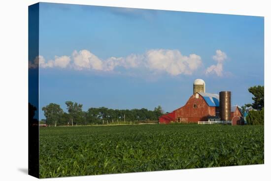 Farm with Red Barn and Corn, Milford Center, Ohio-Bill Bachmann-Premier Image Canvas