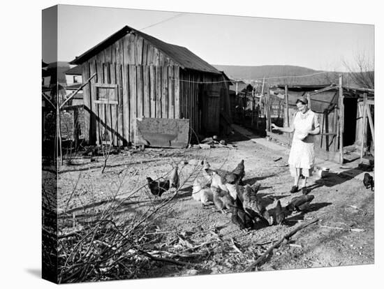 Farm Woman Feeding Her Chickens in a Small Coal Mining Town-Alfred Eisenstaedt-Premier Image Canvas