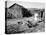 Farm Woman Feeding Her Chickens in a Small Coal Mining Town-Alfred Eisenstaedt-Premier Image Canvas