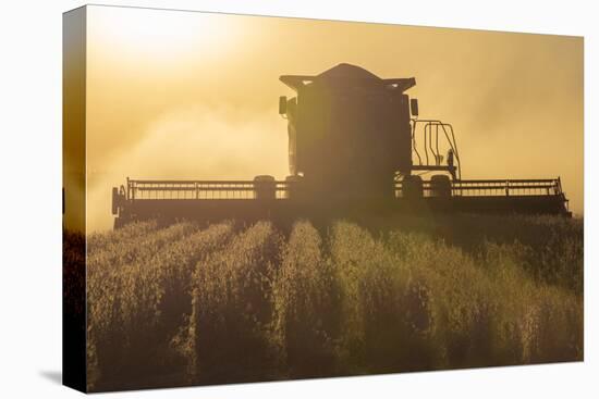Farmer Harvesting Soybeans at Sunset, Marion County, Illinois-Richard and Susan Day-Premier Image Canvas