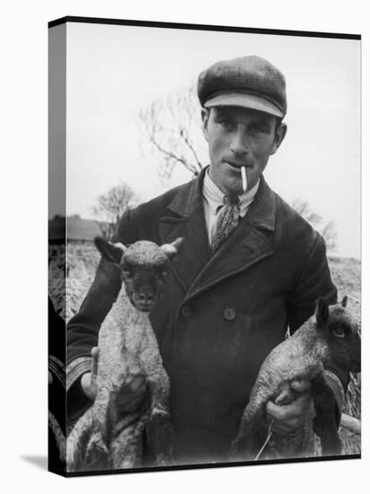 Farmer Holding His New Born Lambs in the Cotswolds-Henry Grant-Premier Image Canvas