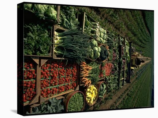 Farmer Hugh Tuttle Tractoring Fresh Produce from 50 Acre Farm Through Field to His Roadside Store-John Dominis-Premier Image Canvas