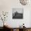 Farmer Plowing with a Tractor on an Iowa Farm-Gordon Parks-Premier Image Canvas displayed on a wall