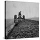 Farmer Plowing with a Tractor on an Iowa Farm-Gordon Parks-Premier Image Canvas