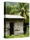Farmer's Home on a Pineapple Farm, White River, Delices, Dominica, Windward Islands, West Indies, C-Kim Walker-Premier Image Canvas