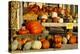 Farmer's Market, Autumn in Luling, Texas, USA-Larry Ditto-Premier Image Canvas