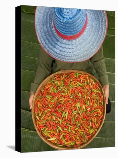 Farmer Selling Chilies, Isan region, Thailand-Gavriel Jecan-Premier Image Canvas
