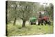 Farmer Spreading Manure In An Olive Grove-Bjorn Svensson-Premier Image Canvas