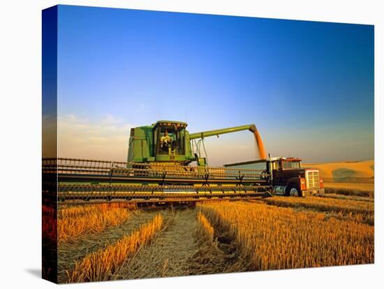 Farmer Unloading Wheat from Combine Near Colfax, Washington, USA-Chuck Haney-Premier Image Canvas