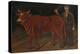 Farmer with Bull, 1916-Niko Pirosmani-Premier Image Canvas