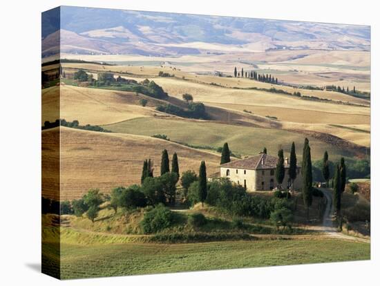 Farmhouse and Cypress Trees in the Early Morning, San Quirico d'Orcia, Tuscany, Italy-Ruth Tomlinson-Premier Image Canvas